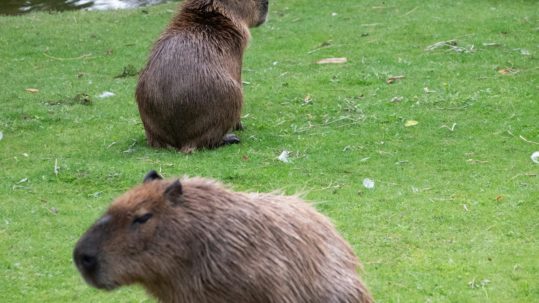 Photo de Mateusz Bajdak sur Unsplash