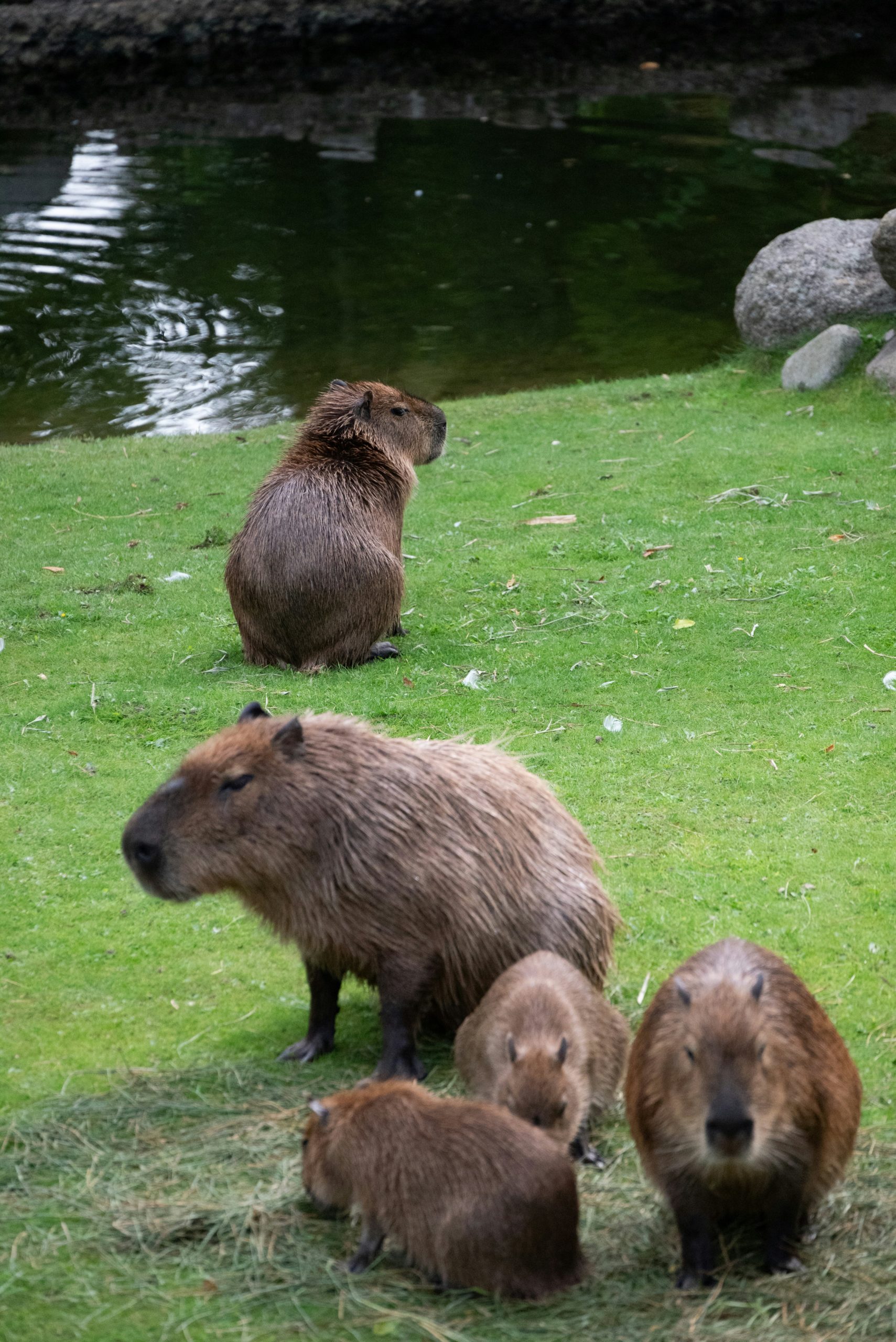 Photo de Mateusz Bajdak sur Unsplash